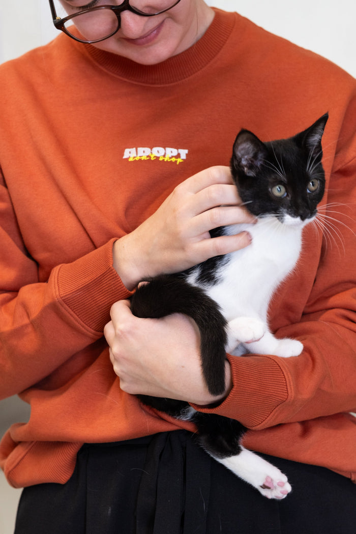 Atelier Houthuys x Dierenasiel Gent