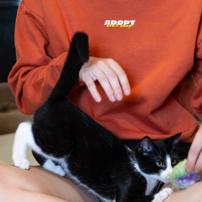 Sweater | Adopt don't shop